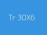 Tr 30X6 
